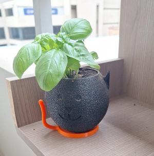 Cat Flower Pot