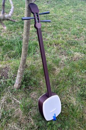 Shamisen