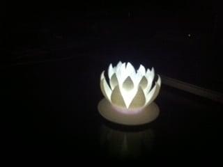 Lotus Flower Nightlight