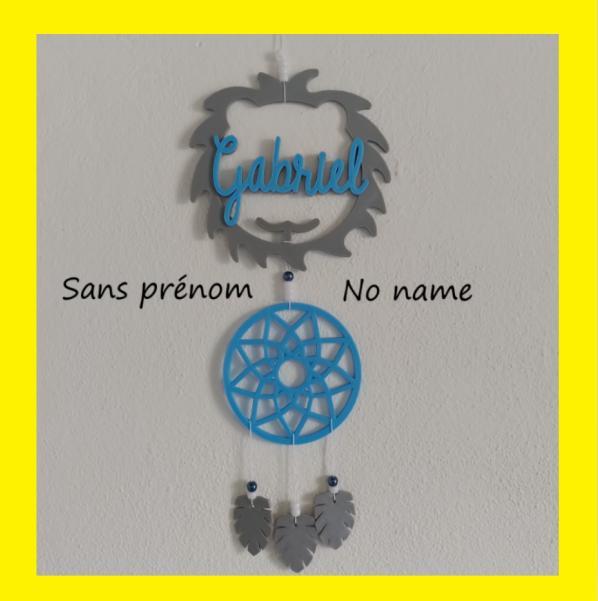 Catch lion dreams (first name to be added)