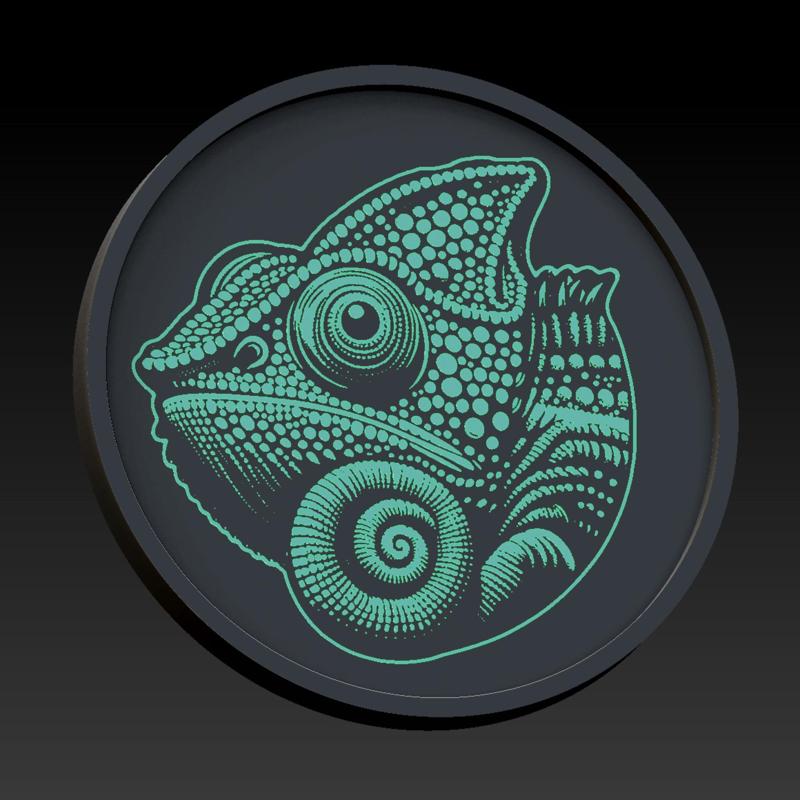 Yemen chameleon coaster