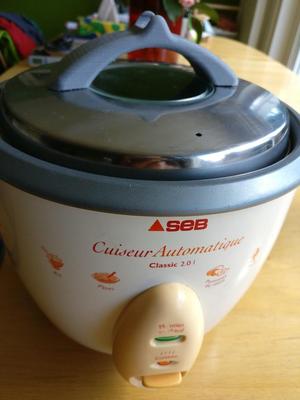 Seb Classic 2.0l rice cooker handle