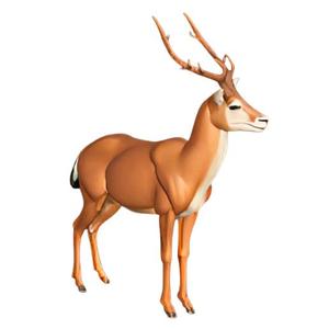 Stylized 3D Deer Model with Antlers