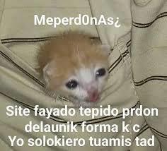 Meper donuts