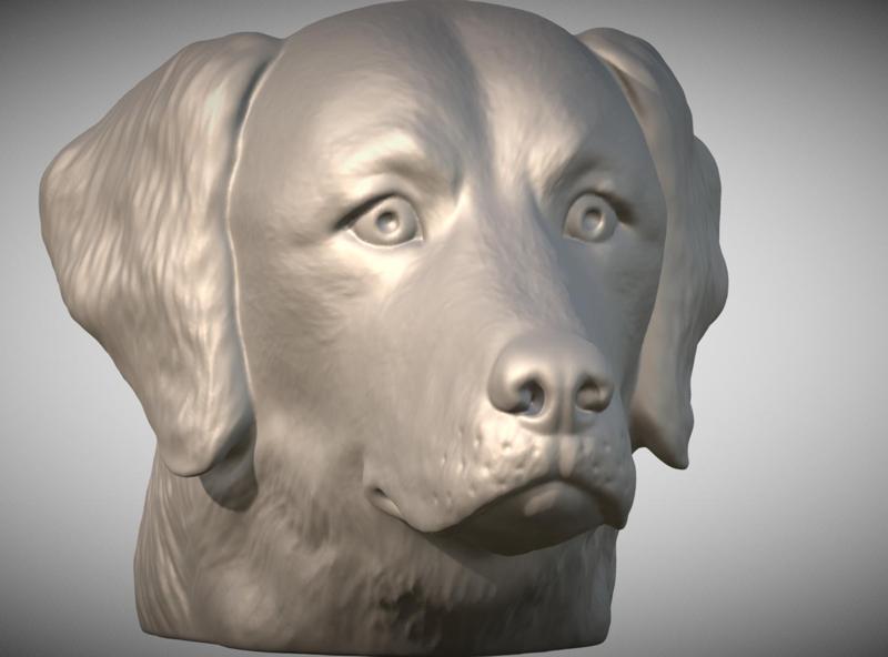 Golden Retriever head for 3D printing