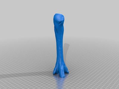 Fossil Horse Foot (Flesh Restored, Mesohippus)