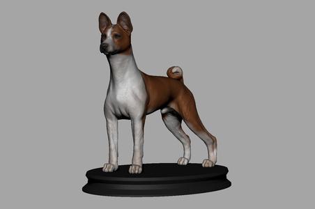 Basenji