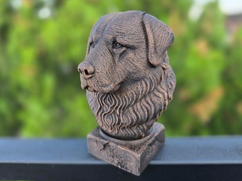 CAUCASIAN SHEPHERD BUST