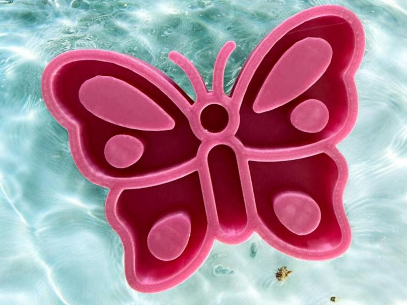 Insect Watering Station // Butterfly Drinker