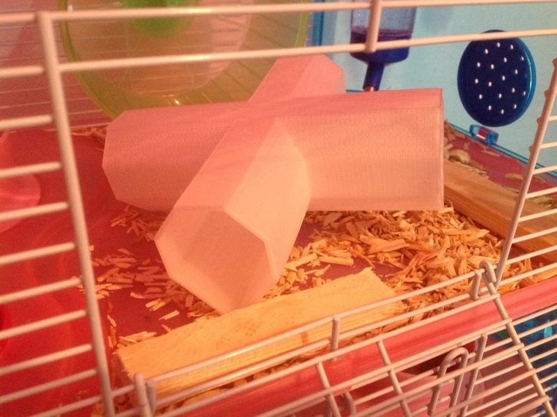 Rodent Seesaw Tunnel