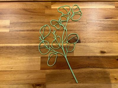 Line art Eucalyptus