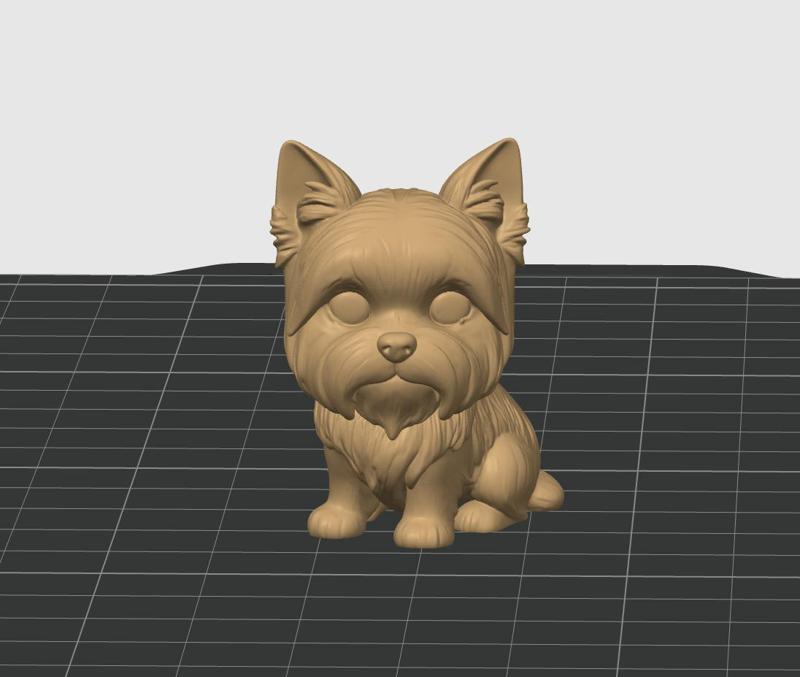 Yorkshire Adult and puppy