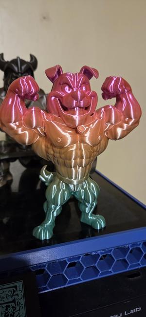 Bull Dog Bodybuilder