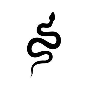 snake decoration
