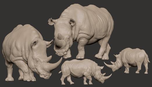 rhinoceros one piece