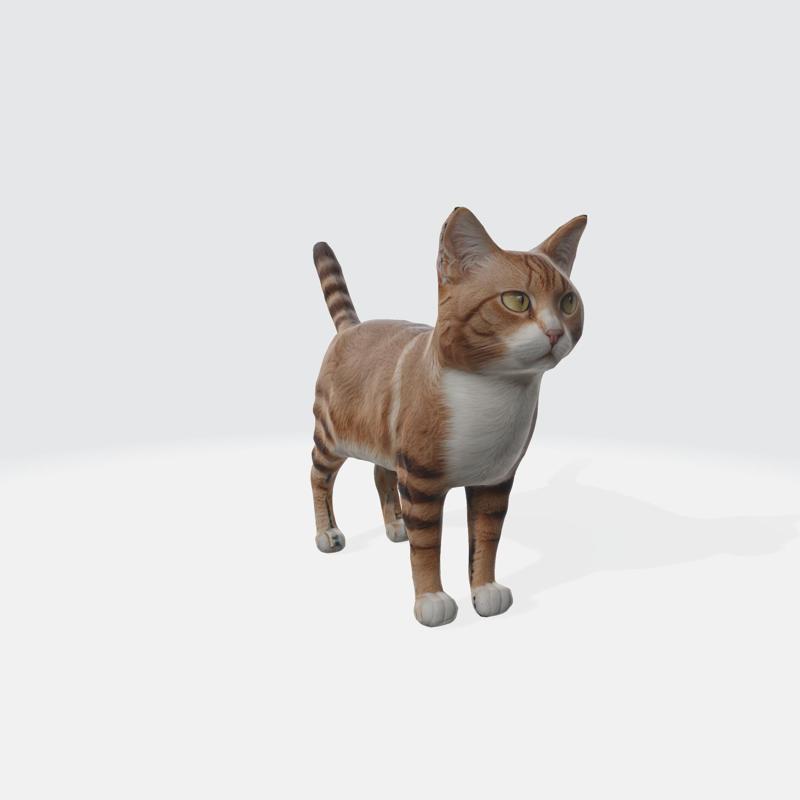 Realistic Tabby Cat 3D Model