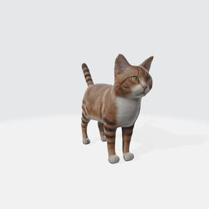 Realistic Tabby Cat 3D Model