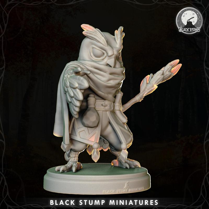 Nightcaller Warlock Hero - Blood-Beak Canopy Ghost + Original Race 5E + Shadowdark .PDF!