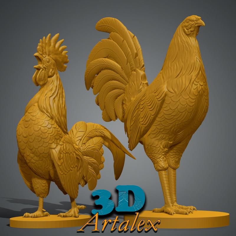 GALLO DE PELEA (2x1)