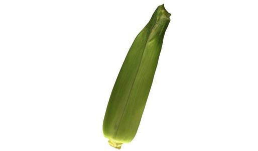 The Corn with Husks