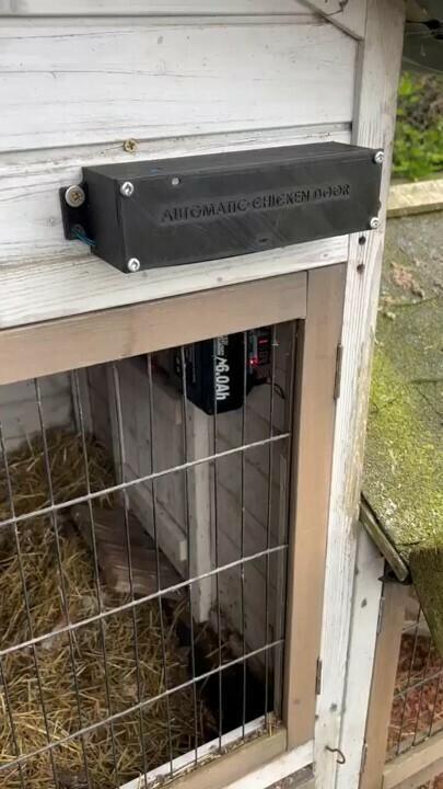 Automatic chicken door