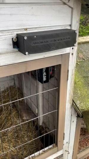 Automatic chicken door