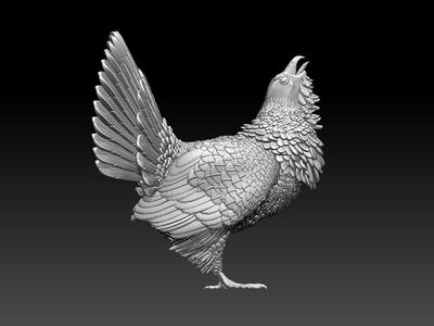 capercaillie