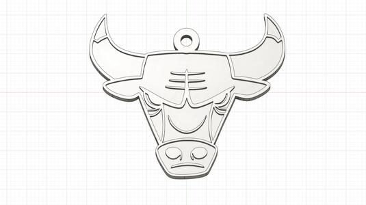 Chicago Bulls keychain