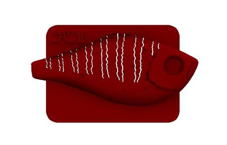 Lure Stencil - Rapala RR7 Orig (nbg2)