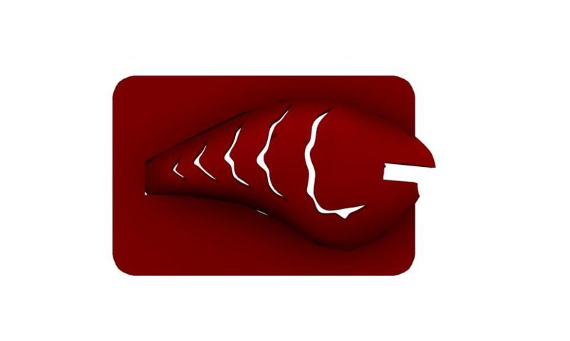 Lure Stencil - Rapala DT10 Orig (craw22)