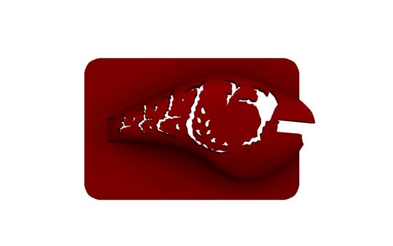 Lure Stencil - Rapala DT10 Orig (craw9)