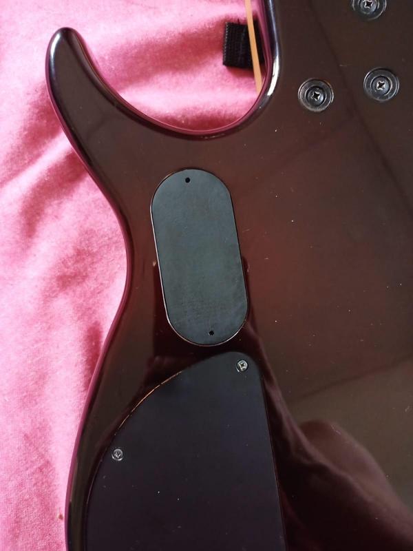 Peavey Millenium AC BXP Bass Guitar Battery Cover Plate