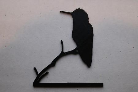 Humming Bird 2d Art