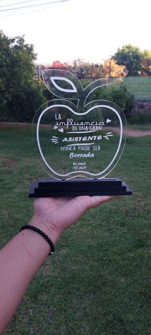 Customizable apple award / prize