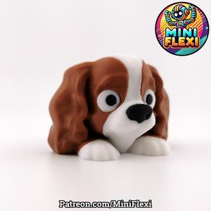Mini Flexi Cavalier King Charles Spaniel