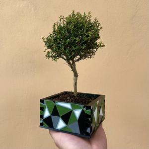 abstract universal box / flower pot dovetail joint for 3d printing