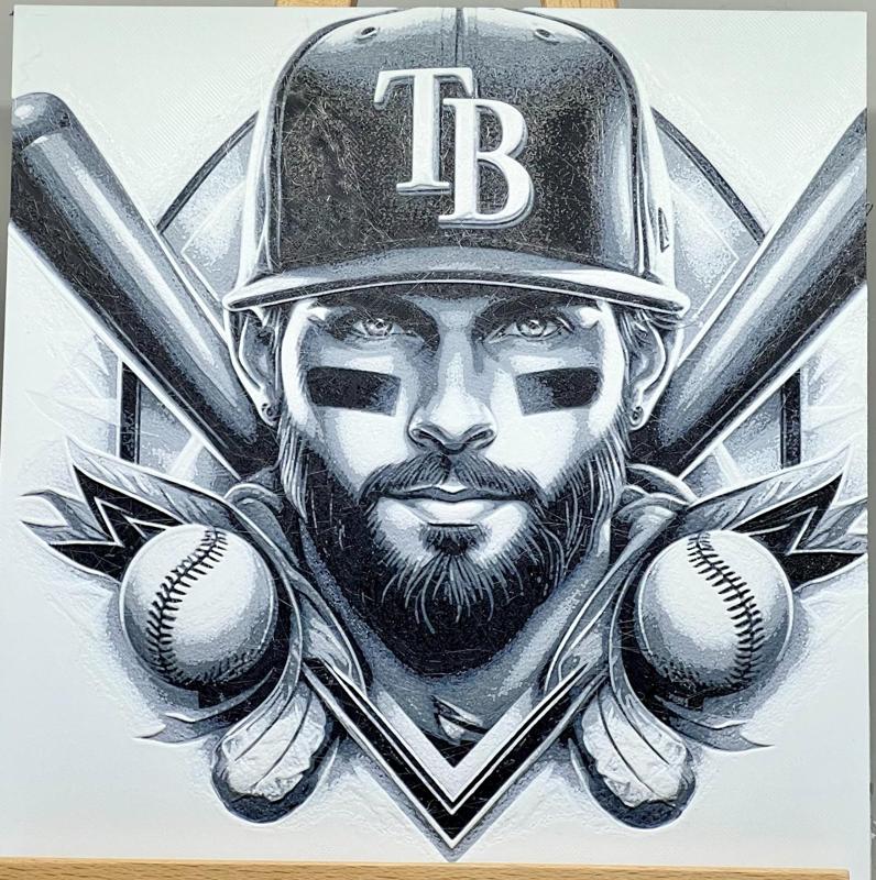 Play Ball! Tampa Bay Rays #8