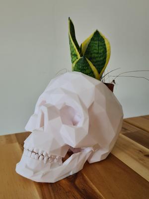 Skull - succulent pot