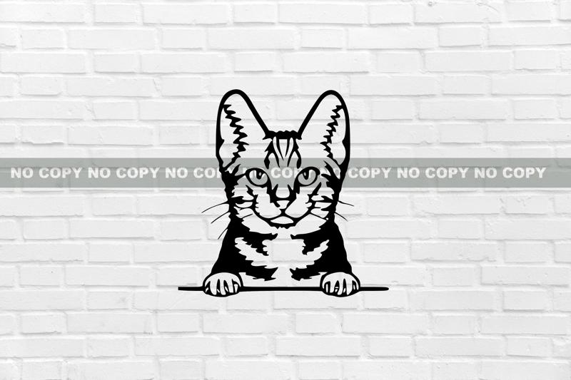 American shorthair CAT WALL DECORATION