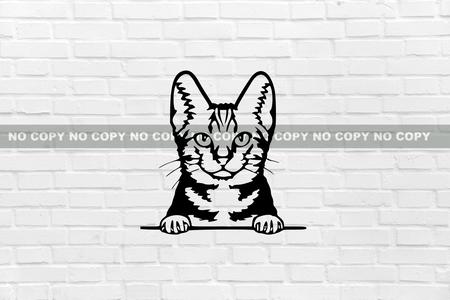 American shorthair CAT WALL DECORATION