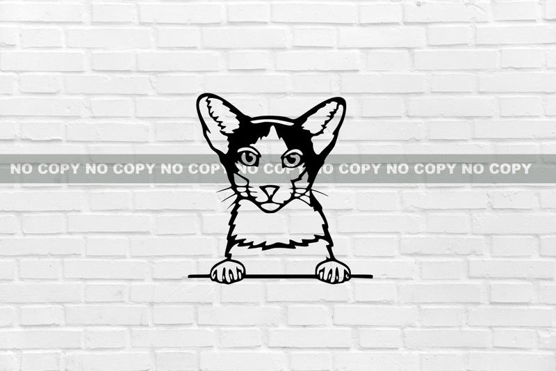 WALL DECORATION CHAT Oriental Bicolore