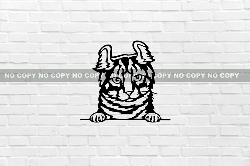 WALL DECORATION CAT Highlander Desert Lynx jungle Curl lynx