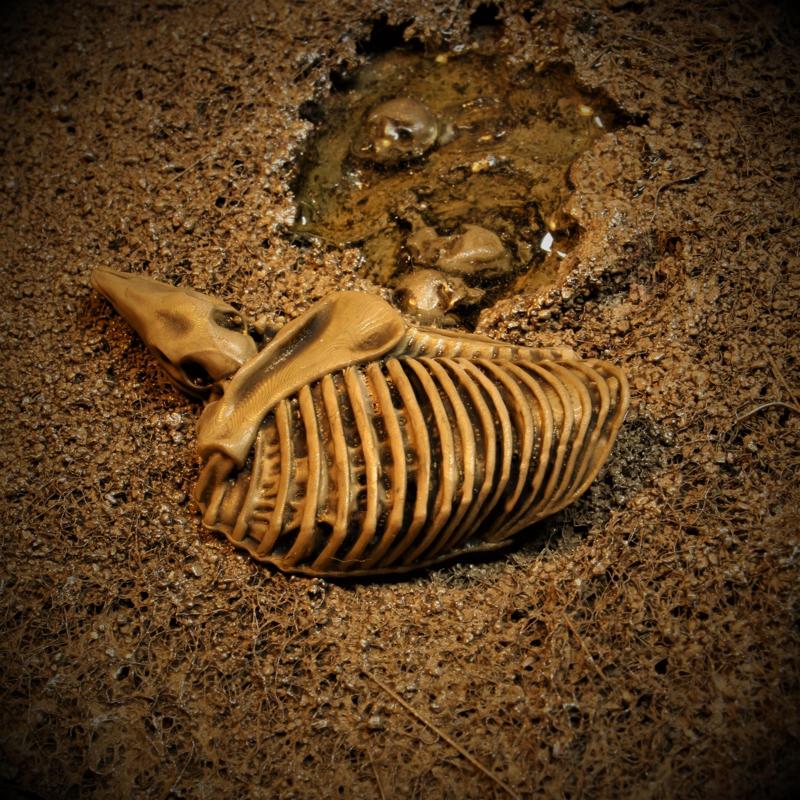 Dead Horse - Objective Marker - Scenery