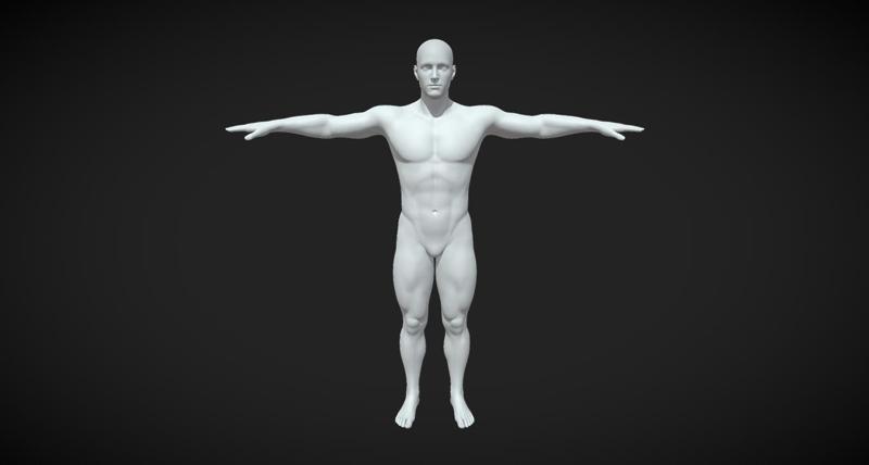 Man Body Base Mesh | T-Pose