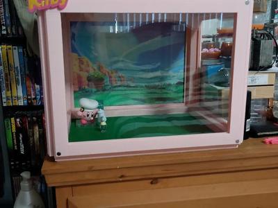 Display Case 16in x 12in x 12in