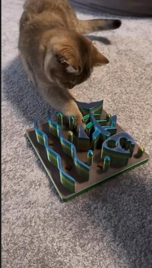 Cat Puzzle Toy