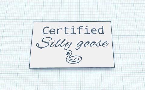 Silly Goose card