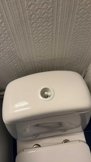 Toilet Flush Button Cap