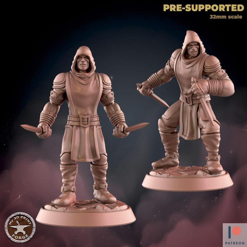 Rogue Two Models