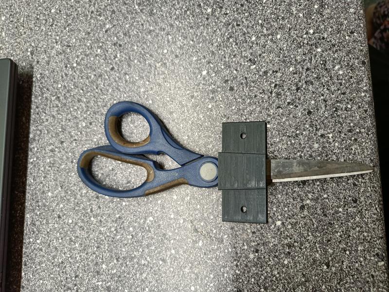 Mount for scissor
